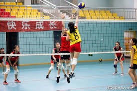 [图]世预赛-哈兰德2分钟2球 挪威时隔28年进世界杯