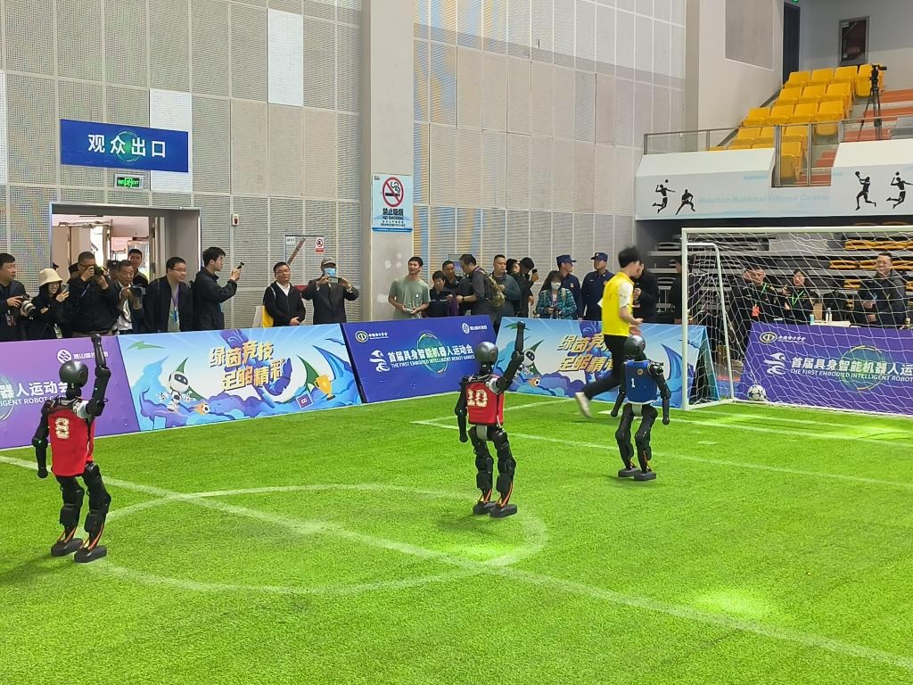 日本野花社区：探索文化与游戏的神秘交融